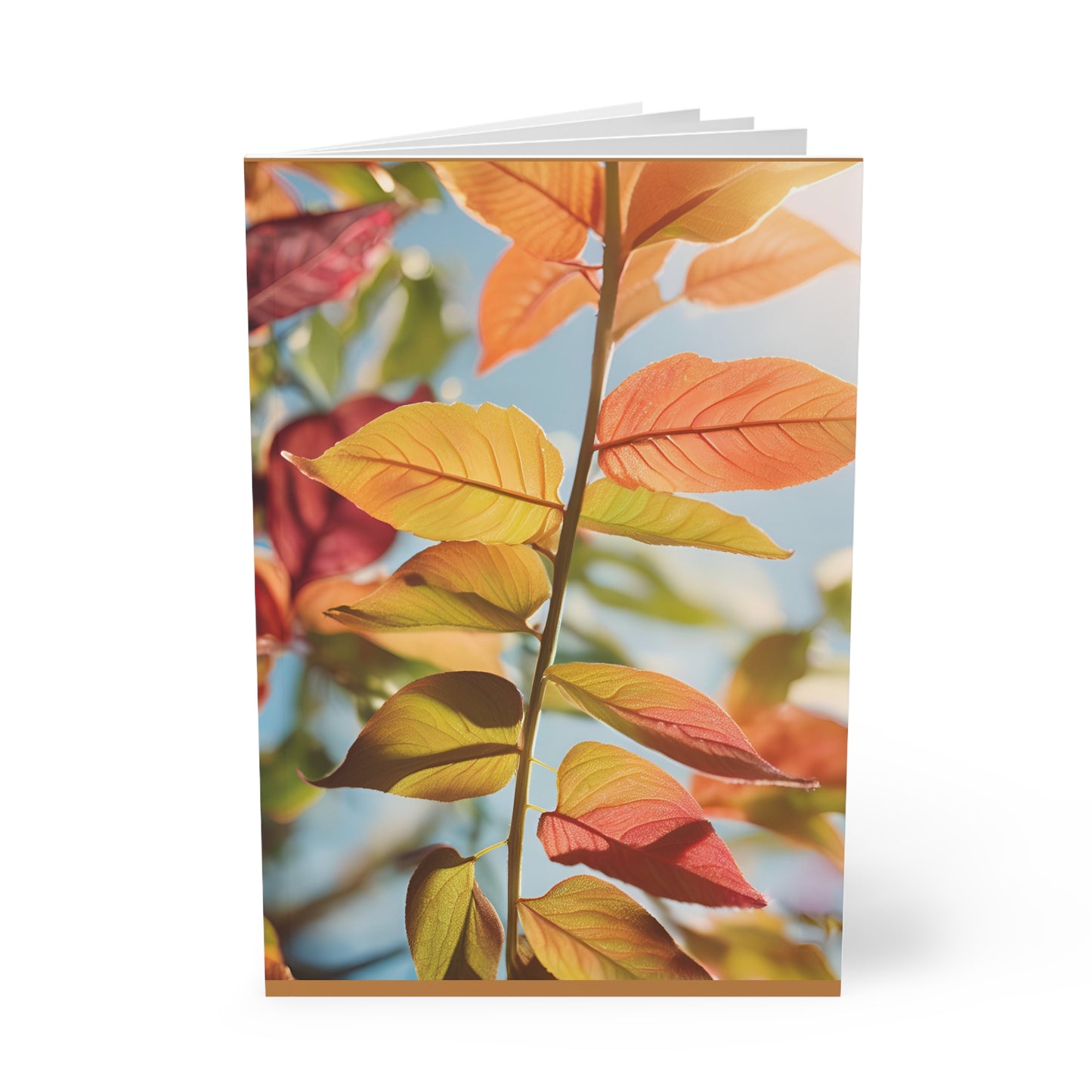 Softcover Notebook, A5