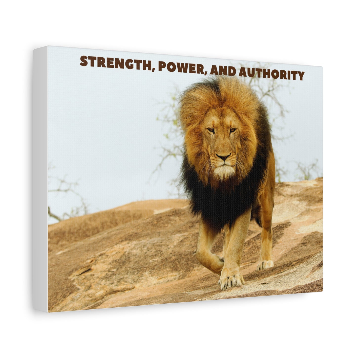 Matte Canvas, Stretched, 1.25"