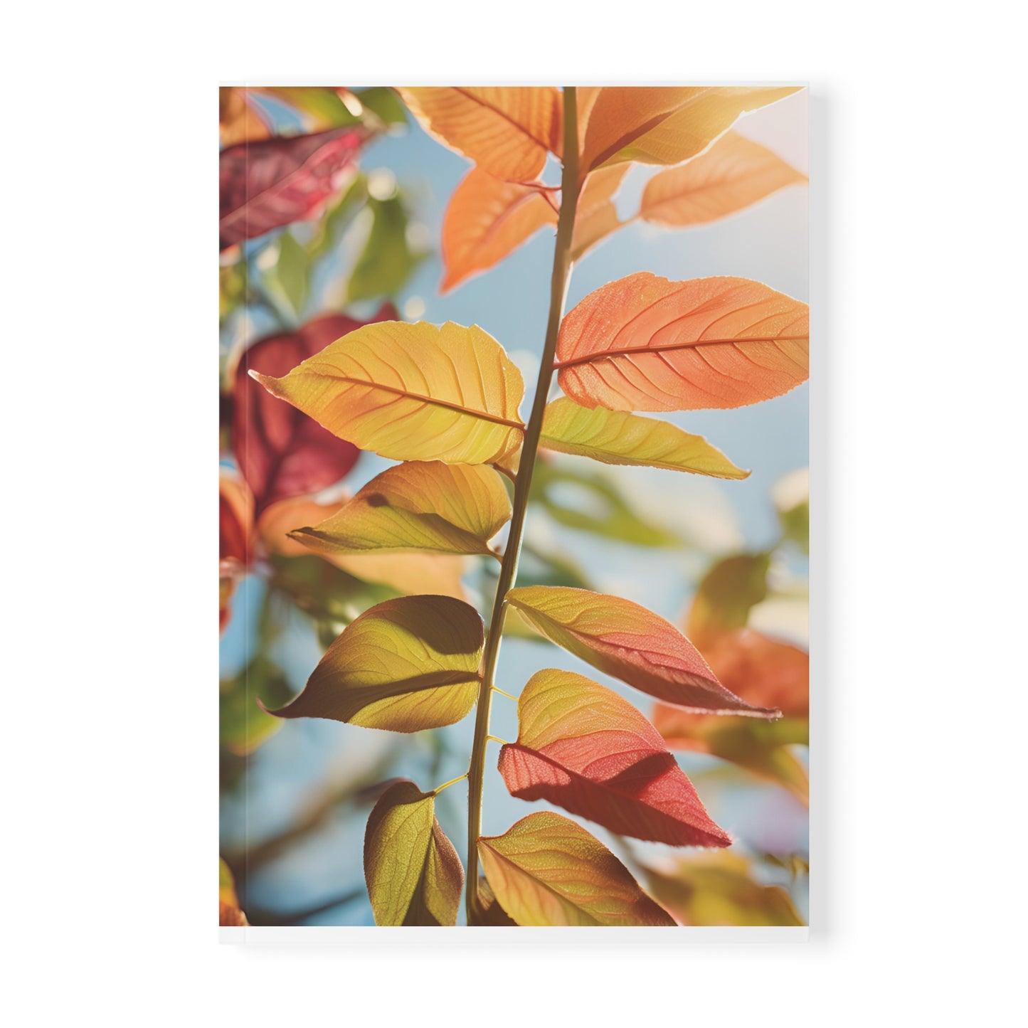 Softcover Notebook, A5