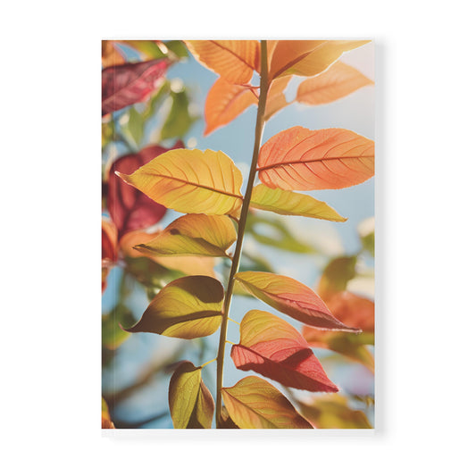 Softcover Notebook, A5