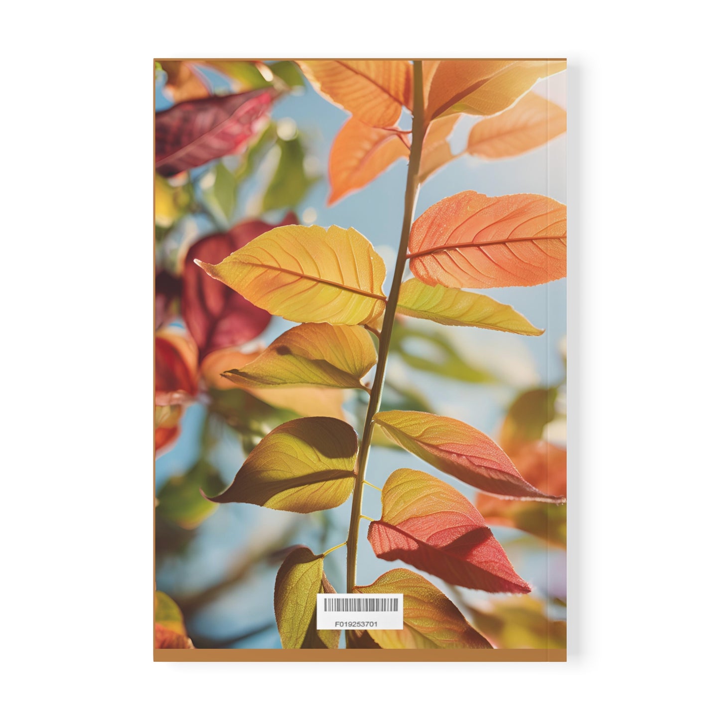 Softcover Notebook, A5