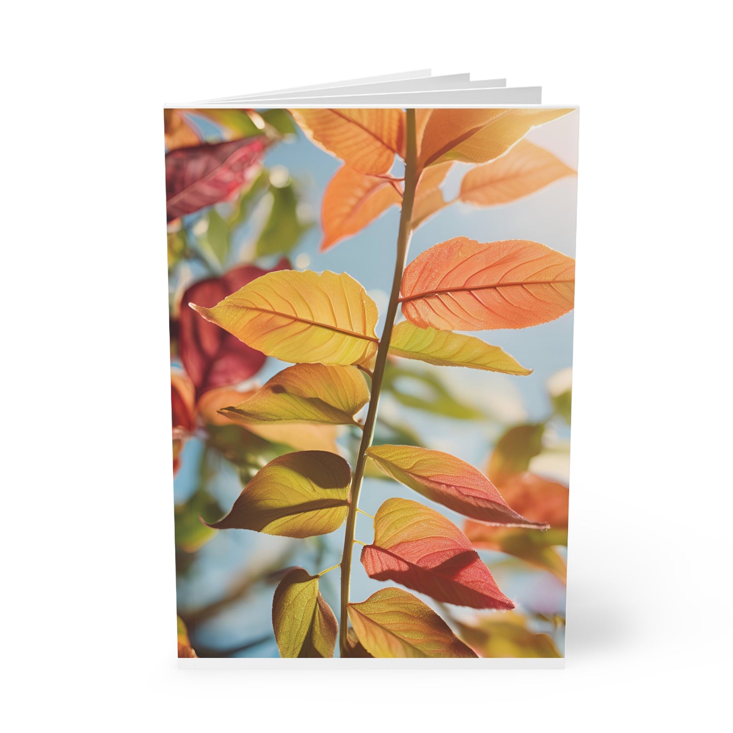 Softcover Notebook, A5