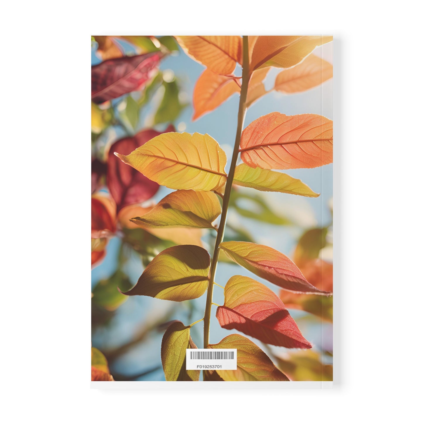 Softcover Notebook, A5