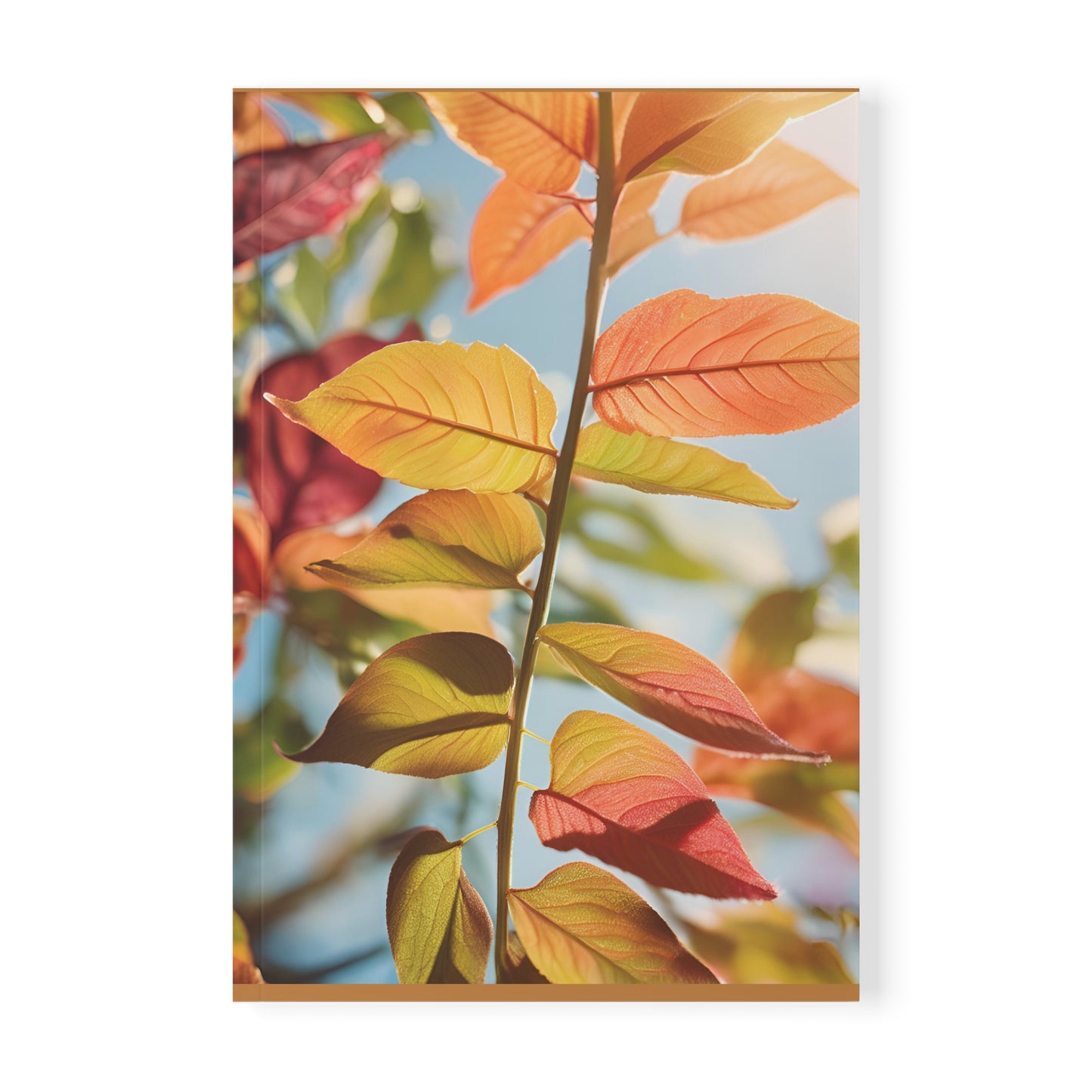 Softcover Notebook, A5