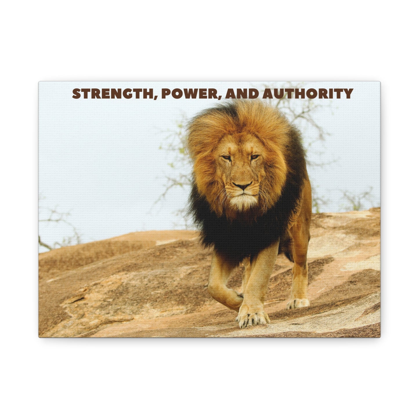 Matte Canvas, Stretched, 1.25"